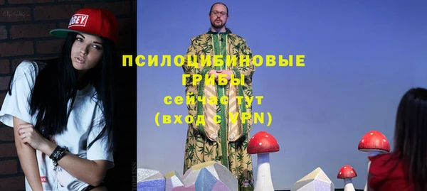 круглые Осинники