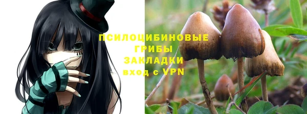 стаф Осташков