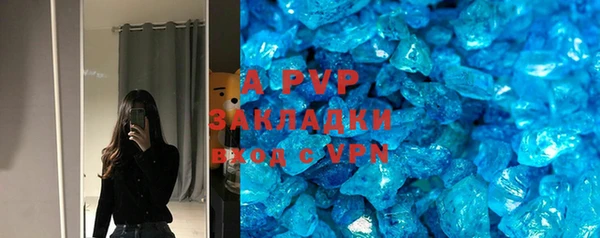 стаф Осташков