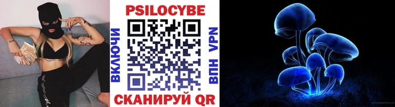 Галлюциногенные грибы Psilocybe нарко площадка как зайти Саянск